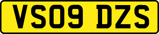 VS09DZS