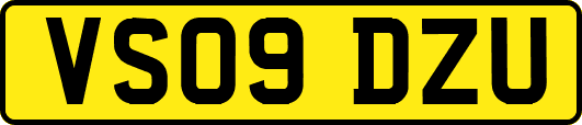 VS09DZU