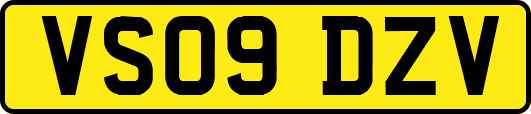 VS09DZV