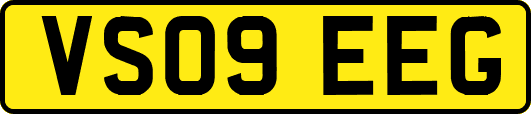 VS09EEG