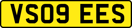 VS09EES