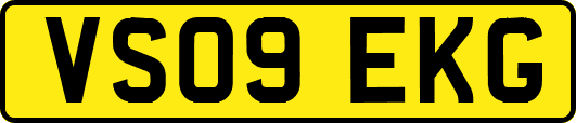 VS09EKG