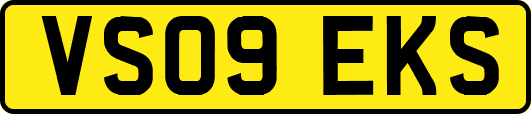VS09EKS