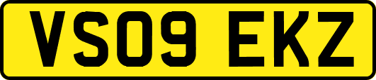 VS09EKZ