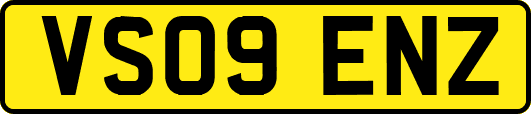 VS09ENZ