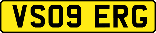 VS09ERG