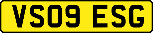 VS09ESG