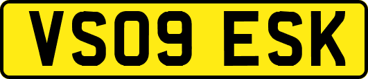 VS09ESK