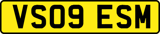 VS09ESM