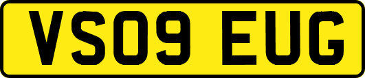 VS09EUG