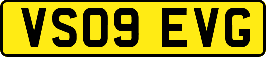 VS09EVG