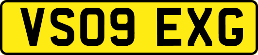 VS09EXG