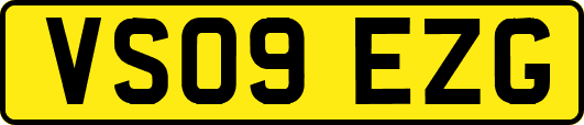VS09EZG