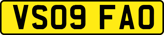VS09FAO