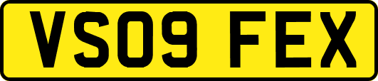 VS09FEX