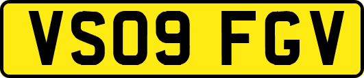 VS09FGV