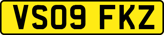 VS09FKZ