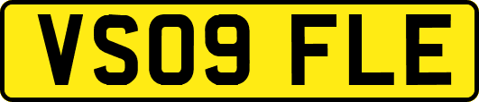 VS09FLE