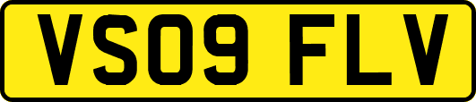 VS09FLV