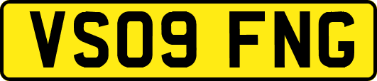 VS09FNG