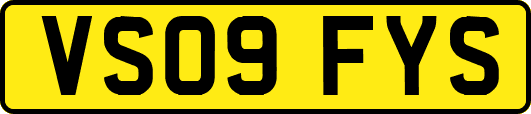 VS09FYS