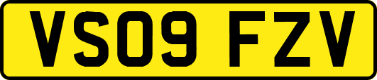 VS09FZV