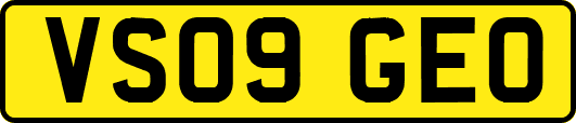 VS09GEO