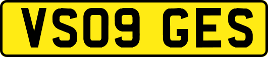 VS09GES