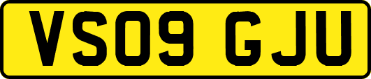 VS09GJU