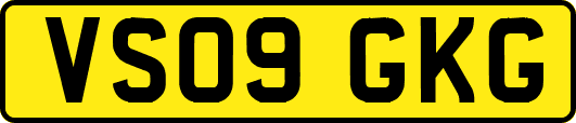 VS09GKG