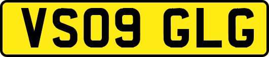 VS09GLG
