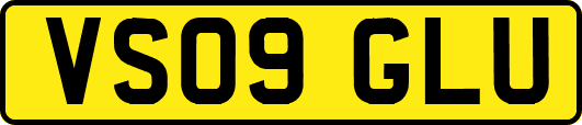 VS09GLU