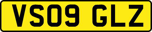 VS09GLZ