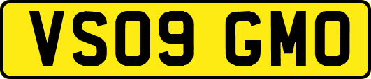 VS09GMO