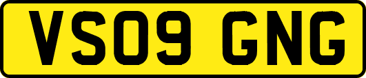 VS09GNG