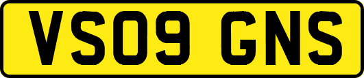 VS09GNS
