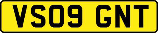 VS09GNT