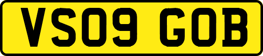 VS09GOB