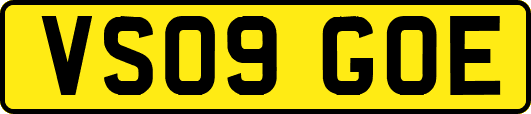 VS09GOE