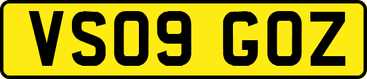 VS09GOZ