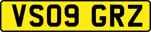 VS09GRZ