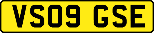 VS09GSE