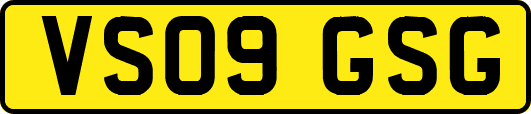 VS09GSG
