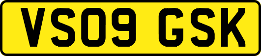 VS09GSK