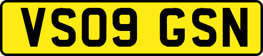 VS09GSN