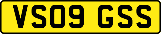 VS09GSS
