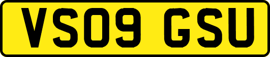 VS09GSU
