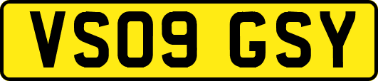 VS09GSY