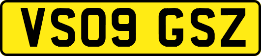 VS09GSZ