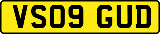 VS09GUD